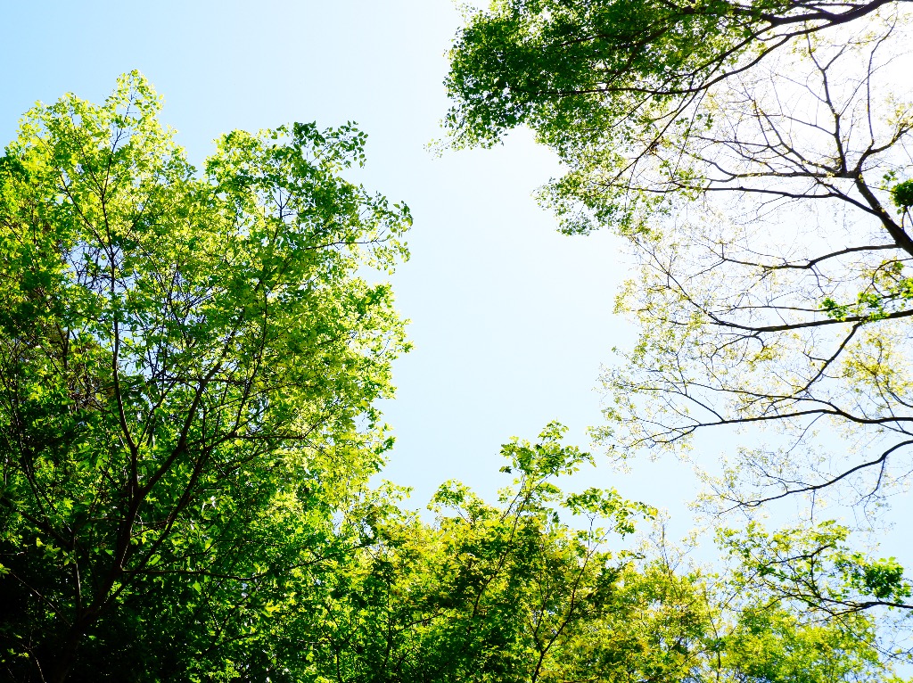 習慣の力を、改めて実感しました